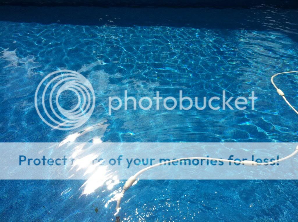 So you want to add borates to your poolWhy and How